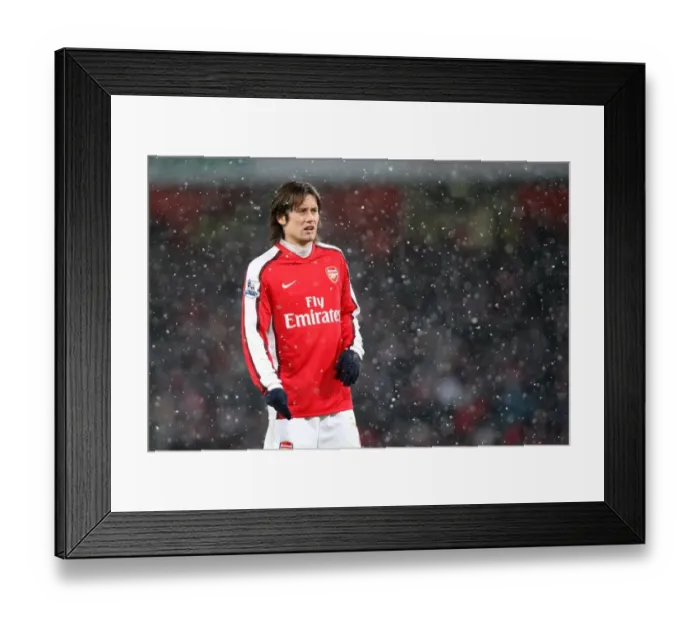 Framed Print : Tomas Rosicky (Arsenal). Arsenal 2: 2 Everton. Barclays Premier League. Emirates Stadium