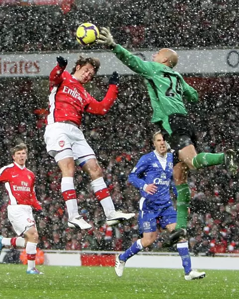 Tomas Rosicky (Arsenal) Tim Howard (Everton). Arsenal 2: 2 Everton. Barclays Premier League