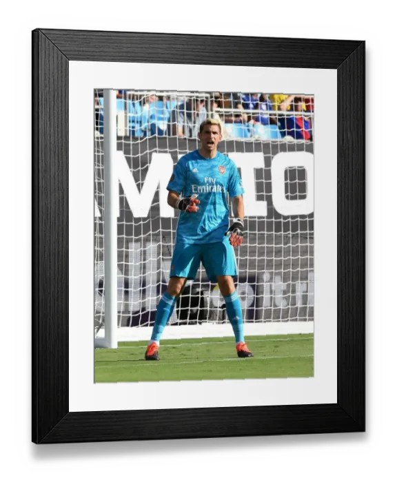 Framed Print : Arsenal's Emi Martinez in Action: Arsenal vs. ACF Fiorentina at 2019 International Champions Cup, Charlotte Framed Print : Arsenal's Emi Martinez in Action: Arsenal vs. ACF Fiorentina at 2019 International Champions Cup, Charlotte