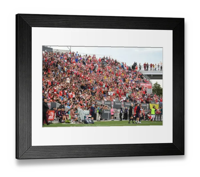 Framed Print : Arsenal Fans Cheering at Colorado Rapids vs. Arsenal (2019-20) Framed Print : Arsenal Fans Cheering at Colorado Rapids vs. Arsenal (2019-20)