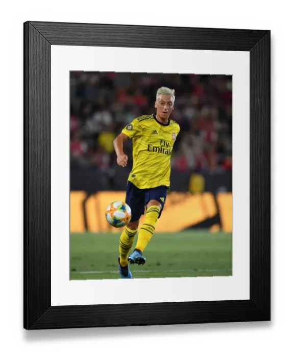 Framed Print : SM1 5568 Framed Print : SM1 5568