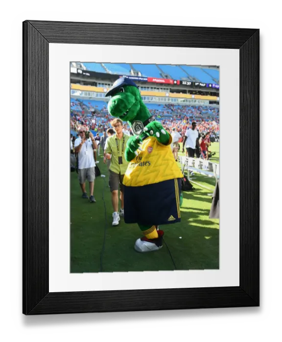 Framed Print : Arsenal vs. ACF Fiorentina: International Champions Cup Clash in Charlotte (2019) Framed Print : Arsenal vs. ACF Fiorentina: International Champions Cup Clash in Charlotte (2019)