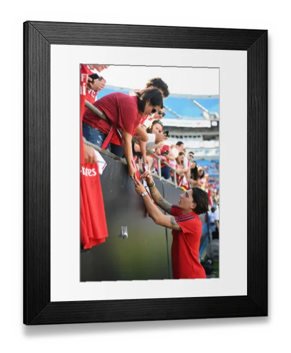 Framed Print : Arsenal's Hector Bellerin Engages with Fans at Arsenal v Fiorentina 2019-20 Pre-Season Match in Charlotte Framed Print : Arsenal's Hector Bellerin Engages with Fans at Arsenal v Fiorentina 2019-20 Pre-Season Match in Charlotte