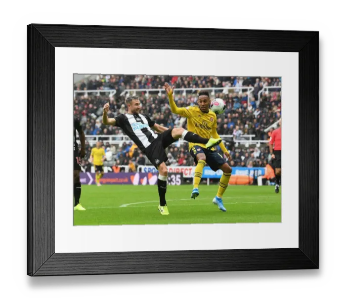 Framed Print : Arsenal's Aubameyang Faces Off Against Newcastle's Dummett in Premier League Clash