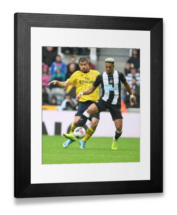 Framed Print : Sokratis vs Joelinton: A Premier League Showdown at St. James Park Framed Print : Sokratis vs Joelinton: A Premier League Showdown at St. James Park