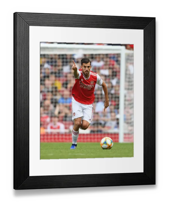 Framed Print : Dani Ceballos in Action: Arsenal vs. Olympique Lyonnais at Emirates Cup 2019 Framed Print : Dani Ceballos in Action: Arsenal vs. Olympique Lyonnais at Emirates Cup 2019