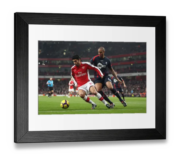 Framed Print : Eduardo (Arsenal) Zat Knight (Bolton). Arsenal 4: 2 Bolton Wanderers. Barclays Premier League