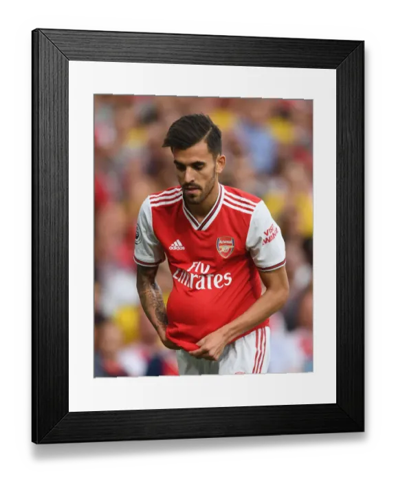 Framed Print : Arsenal's Dani Ceballos Faces Off Against Tottenham in Premier League Clash Framed Print : Arsenal's Dani Ceballos Faces Off Against Tottenham in Premier League Clash