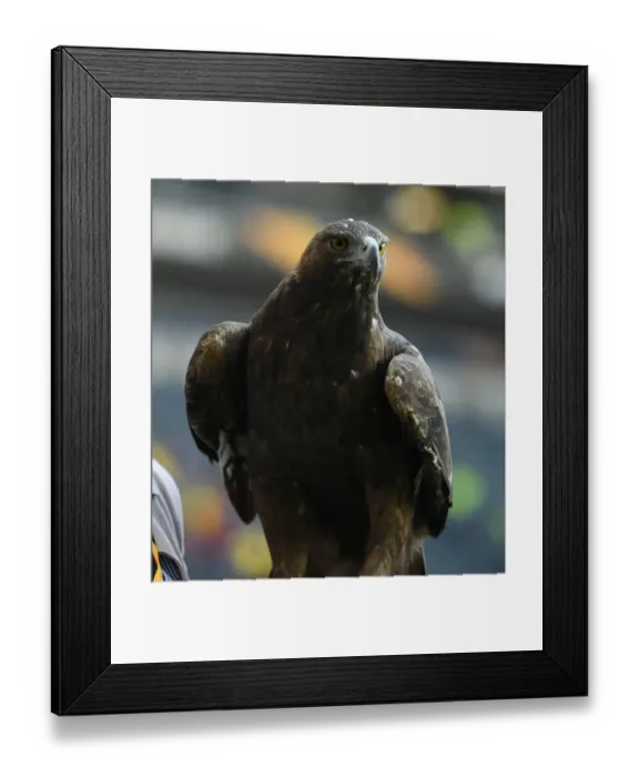Framed Print : Arsenal vs. Eintracht Frankfurt: UEFA Europa League Showdown in Frankfurt