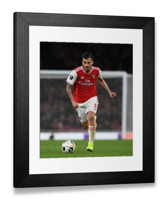 Framed Print : Arsenal's Dani Ceballos in Action against Standard Liege at Emirates Stadium (2019-20) Framed Print : Arsenal's Dani Ceballos in Action against Standard Liege at Emirates Stadium (2019-20)