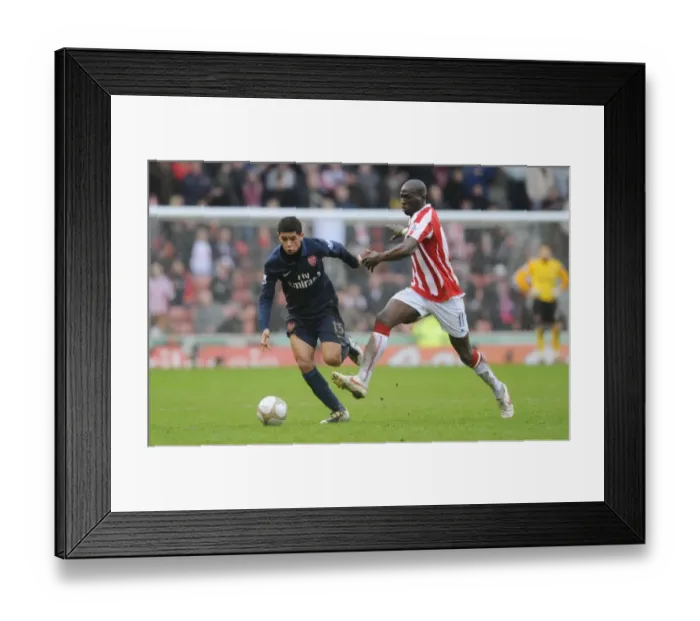 Framed Print : Denilson vs Sidibe: Stoke City's Upset over Arsenal in FA Cup 4th Round