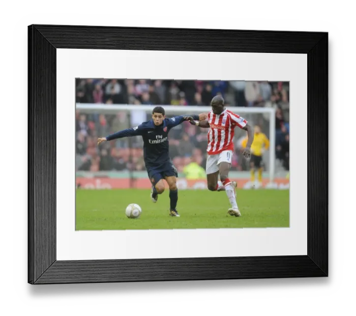 Framed Print : Denilson (Arsenal) Mamady Sidibe (Stoke). Stoke City 3: 1 Arsenal, FA Cup 4th round Framed Print : Denilson (Arsenal) Mamady Sidibe (Stoke). Stoke City 3: 1 Arsenal, FA Cup 4th round