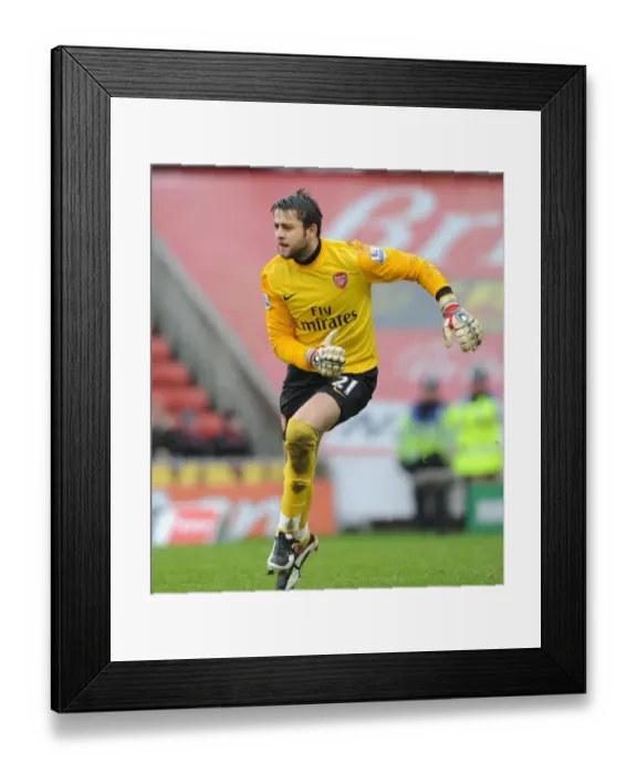 Framed Print : Fabianski's FA Cup Struggle: Arsenal vs Stoke at The Britannia Stadium (3:1) Framed Print : Fabianski's FA Cup Struggle: Arsenal vs Stoke at The Britannia Stadium (3:1)