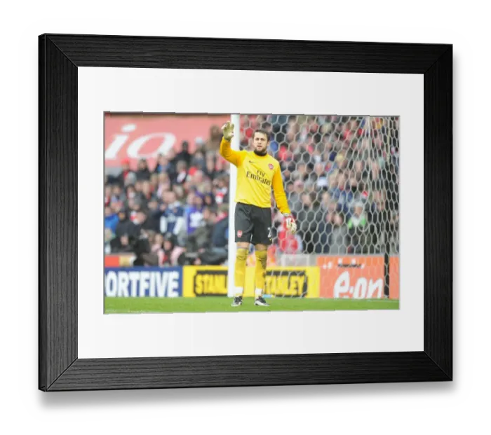 Framed Print : Fabianski's FA Cup Struggle: Arsenal's 3:1 Defeat at The Britannia Stadium