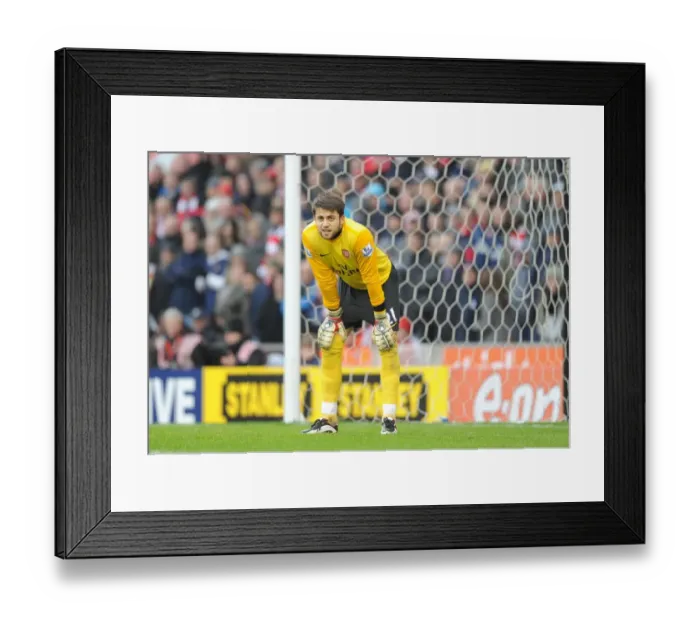 Framed Print : Fabianski's FA Cup Challenge: Arsenal vs. Stoke at The Britannia Stadium (3:1)