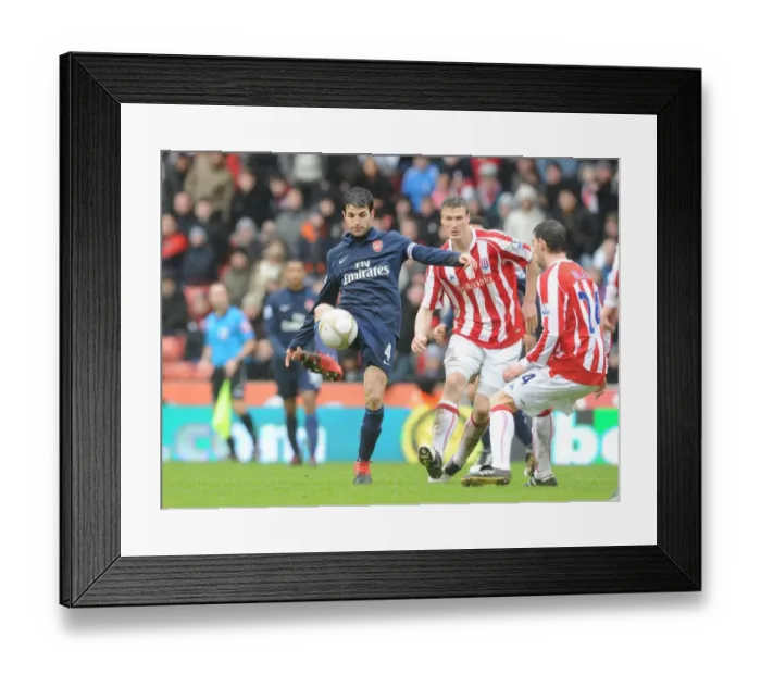 Framed Print : Cesc Fabregas (Arsenal) Robert Huth and Rory Delap (Stoke). Stoke City 3: 1 Arsenal Framed Print : Cesc Fabregas (Arsenal) Robert Huth and Rory Delap (Stoke). Stoke City 3: 1 Arsenal