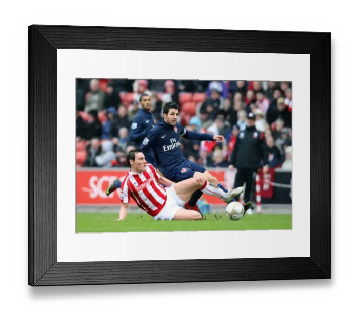Framed Print : Cesc Fabregas (Arsenal) Dean Whitehead (Stoke). Stoke City 3: 1 Arsenal