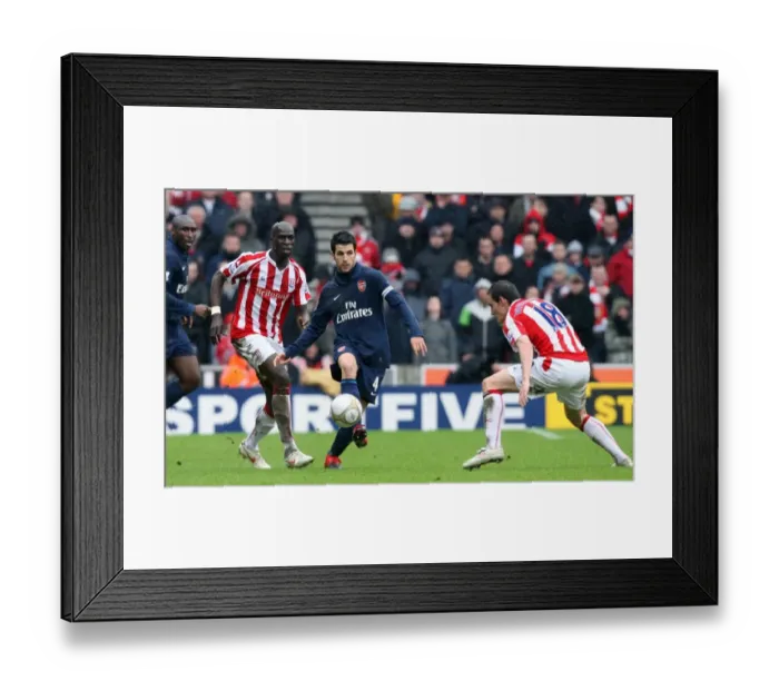 Framed Print : Cesc Fabregas (Arsenal) Dean Whitehead and Mamady Sidibe (Stoke). Stoke City 3: 1 Arsenal Framed Print : Cesc Fabregas (Arsenal) Dean Whitehead and Mamady Sidibe (Stoke). Stoke City 3: 1 Arsenal