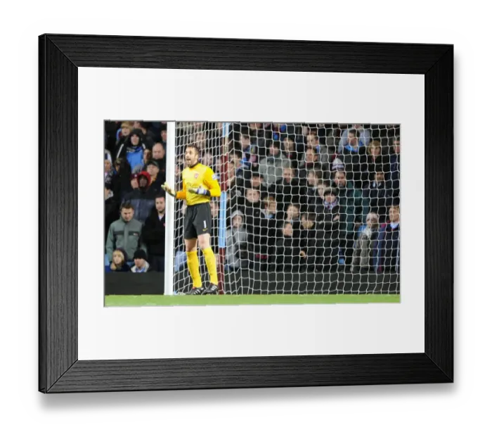 Framed Print : Manuel Almunia (Arsenal). Aston Villa 0: 0 Arsenal. Barclays Premier League Framed Print : Manuel Almunia (Arsenal). Aston Villa 0: 0 Arsenal. Barclays Premier League