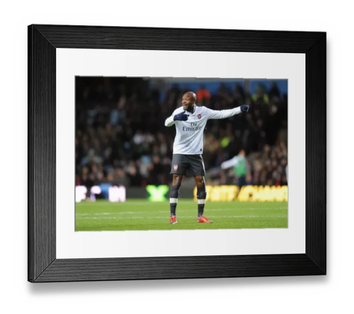 Framed Print : William Gallas (Arsenal). Aston Villa 0: 0 Arsenal. Barclays Premier League Framed Print : William Gallas (Arsenal). Aston Villa 0: 0 Arsenal. Barclays Premier League