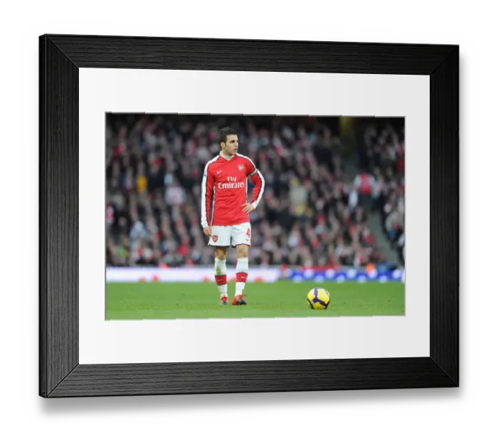Framed Print : Cesc Fabregas (Arsenal). Arsenal 1: 3 Manchester United, Barclays Premier League Framed Print : Cesc Fabregas (Arsenal). Arsenal 1: 3 Manchester United, Barclays Premier League
