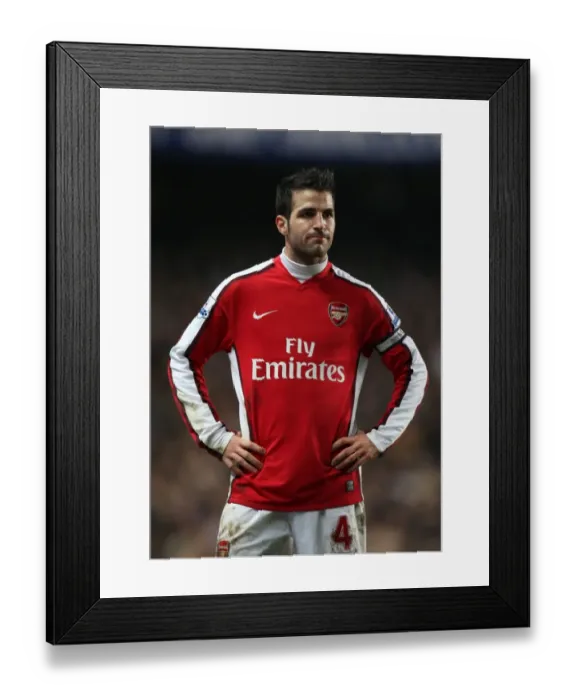 Framed Print : Cesc Fabregas (Arsenal). Chelsea 2: 0 Arsenal. Barclays Premier League. Stamford Bridge