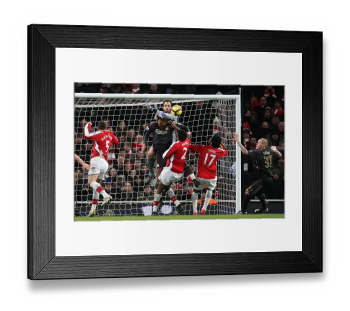 Framed Print : Manuel Almunia (Arsenal) David Ngog (Liverpool). Arsenal 1: 0 Liverpool