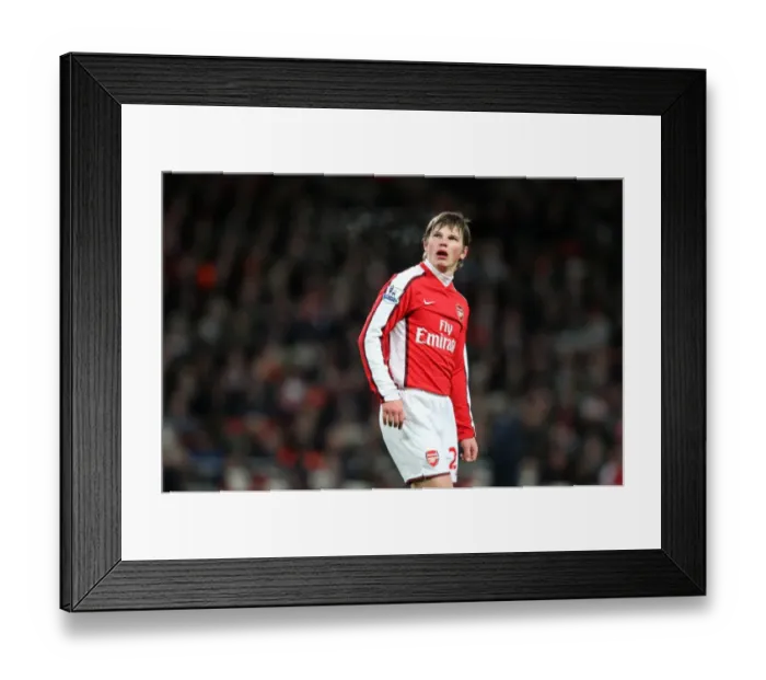Framed Print : Andrey Arshavin (Arsenal). Arsenal 1: 0 Liverpool. Barclays Premier League