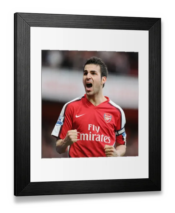 Framed Print : Cesc Fabregas celebrates scoring the 2nd Arsenal goal. Arsenal 2: 0 Sunderland