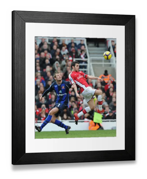 Framed Print : Cesc Fabregas (Arsenal) George McCartney (Sunderland). Arsenal 2: 0 Sunderland