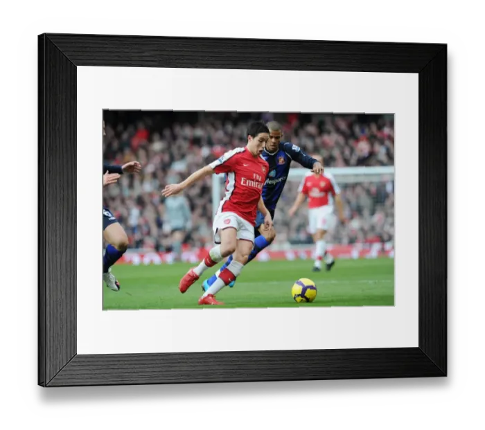 Framed Print : Samir Nasri (Arsenal) Frazier Campbell (Sunderland). Arsenal 2: 0 Sunderland