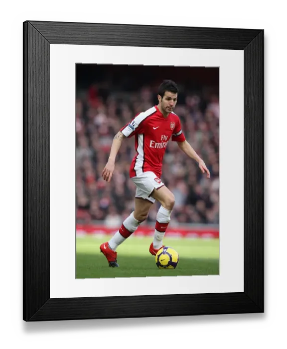 Framed Print : Cesc Fabregas Leads Arsenal to 2-0 Victory over Sunderland in Barclays Premier League
