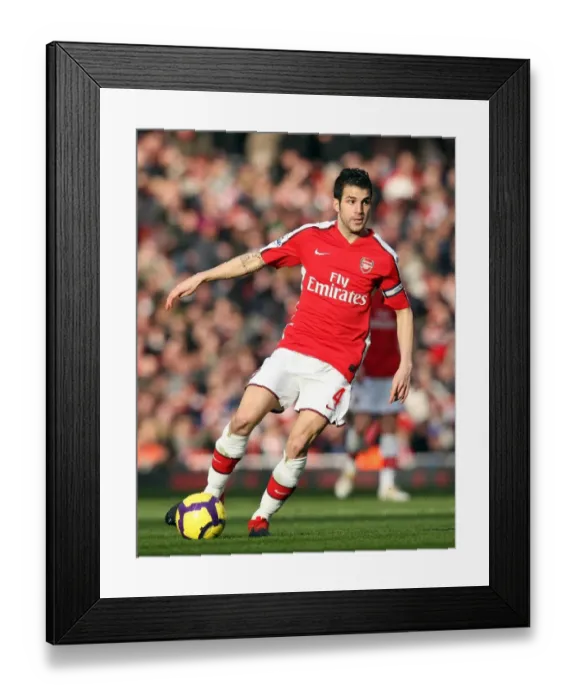 Framed Print : Cesc Fabregas (Arsenal). Arsenal 2: 0 Sunderland. Barclays Premier League