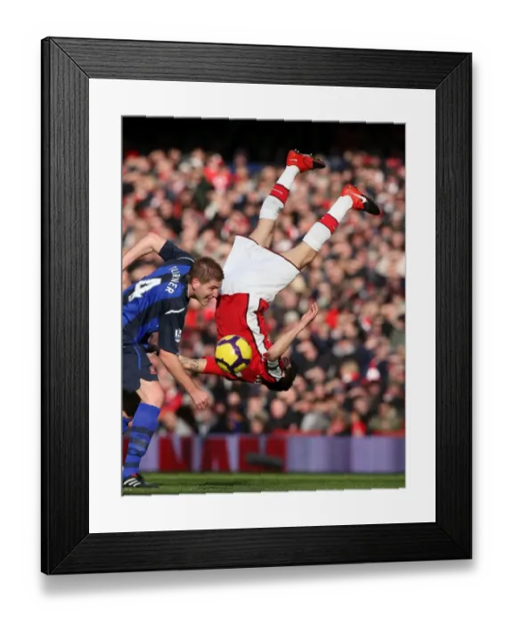 Framed Print : Cesc Fabregas (Arsenal) Michael Turner (Sunderland). Arsenal 2: 0 Sunderland