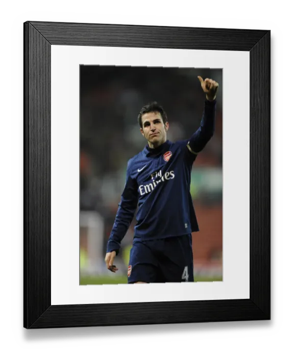 Framed Print : Cesc Fabregas (Arsenal). Stoke City 1: 3 Arsenal, Barclays Premier League