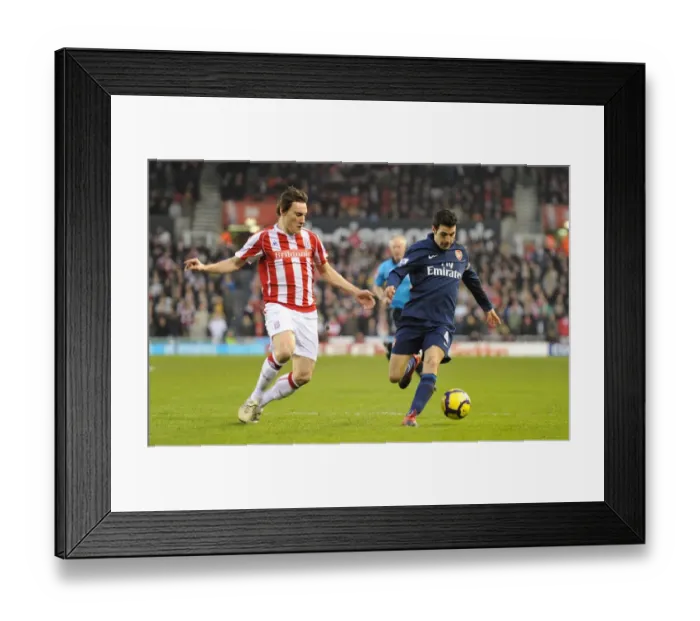 Framed Print : Cesc Fabregas (Arsenal) Dean Whitehead (Stoke). Stoke City 1: 3 Arsenal Framed Print : Cesc Fabregas (Arsenal) Dean Whitehead (Stoke). Stoke City 1: 3 Arsenal