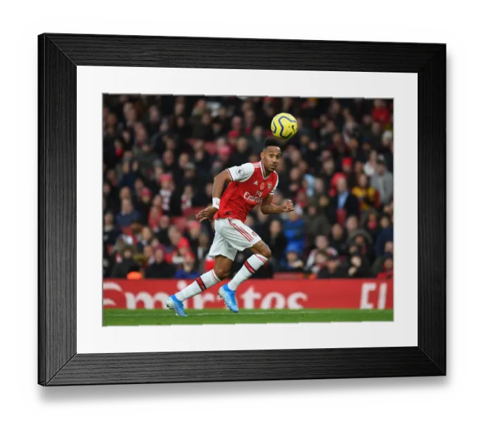 Framed Print : Arsenal's Aubameyang Gears Up for Premier League Clash Against Wolverhampton Framed Print : Arsenal's Aubameyang Gears Up for Premier League Clash Against Wolverhampton