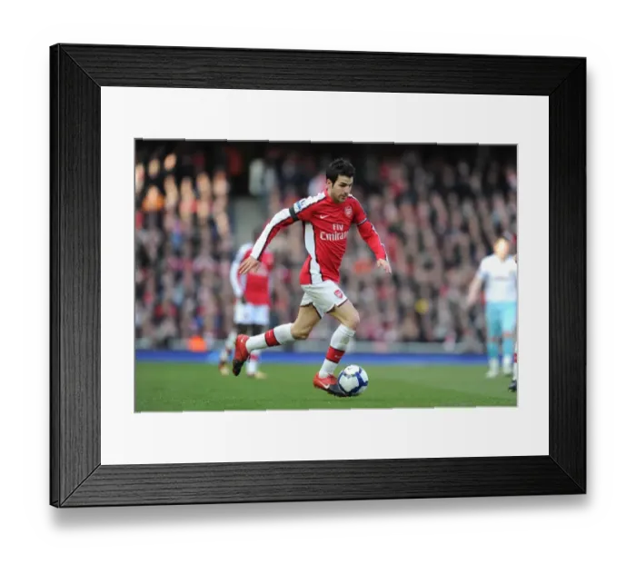 Framed Print : Cesc Fabregas (Arsenal). Arsenal 3: 1 Burnley, Barclays Premier League, Emirates Stadium Framed Print : Cesc Fabregas (Arsenal). Arsenal 3: 1 Burnley, Barclays Premier League, Emirates Stadium