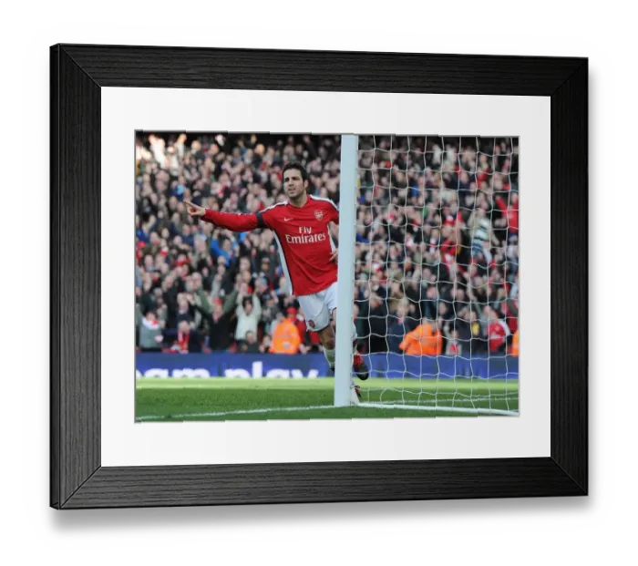 Framed Print : Cesc Fabregas celebrates scoring the 1st Arsenal goal. Arsenal 3: 1 Burnley