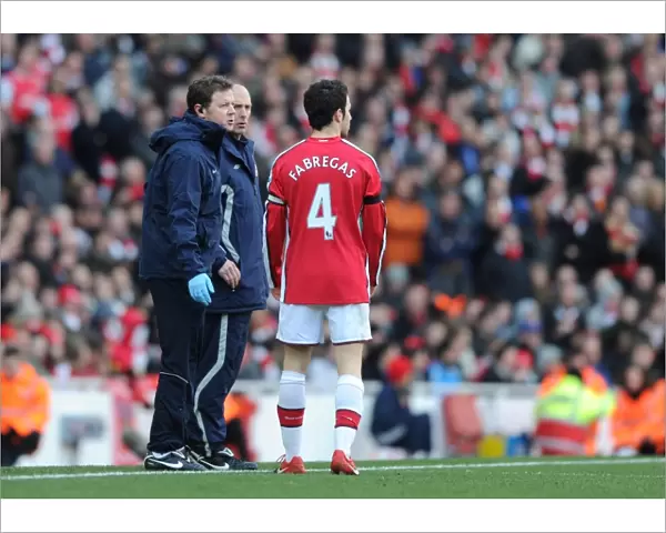 Arsenal physio Colin Lewin talks to captain Cesc Fabregas during the match