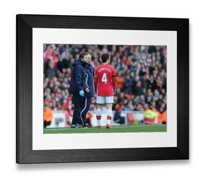 Framed Print : Arsenal physio Colin Lewin talks to captain Cesc Fabregas during the match
