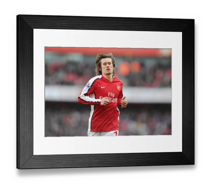 Framed Print : Tomas Rosicky (Arsenal). Arsenal 3: 1 Burnley, Barclays Premier League, Emirates Stadium