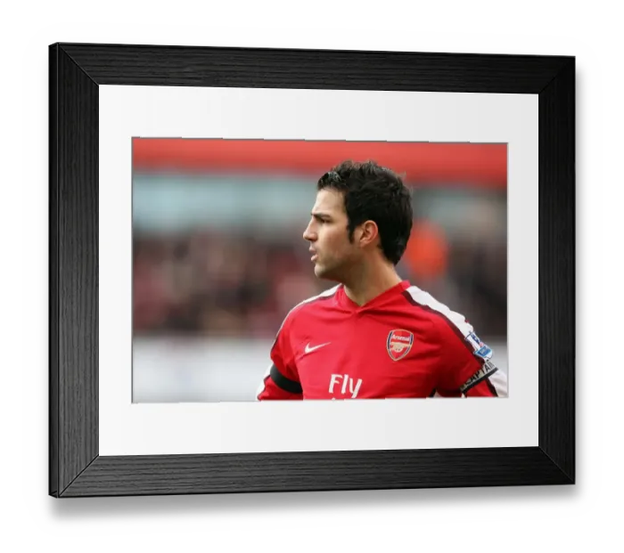 Framed Print : Cesc Fabregas and Arsenal's 3-1 Victory Over Burnley in the Barclays Premier League (2010) Framed Print : Cesc Fabregas and Arsenal's 3-1 Victory Over Burnley in the Barclays Premier League (2010)