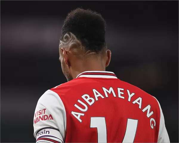 Arsenal's Aubameyang Shines in Arsenal v Southampton Premier League Clash (November 2019)