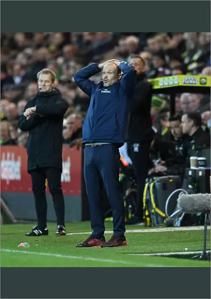 Freddie Ljungberg Leads Arsenal at Norwich City: Premier League 2019-20