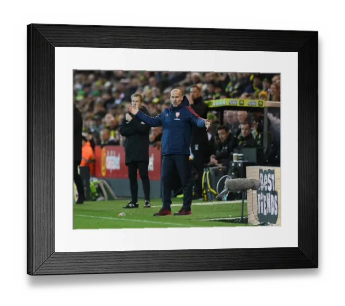 Framed Print : Freddie Ljungberg Leads Arsenal at Carrow Road Against Norwich City (Premier League 2019-20)