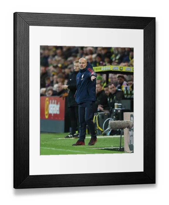 Framed Print : Freddie Ljungberg Leads Arsenal at Norwich City: Premier League 2019-20 Framed Print : Freddie Ljungberg Leads Arsenal at Norwich City: Premier League 2019-20
