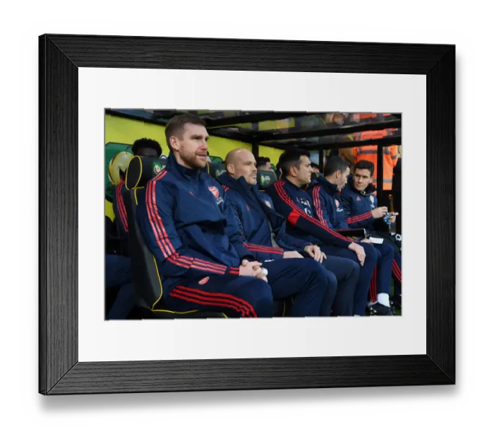 Framed Print : Arsenal Interim Coaches Freddie Ljungberg and Per Mertesacker Prepare for Norwich City Showdown, 2019-20 Premier League Framed Print : Arsenal Interim Coaches Freddie Ljungberg and Per Mertesacker Prepare for Norwich City Showdown, 2019-20 Premier League