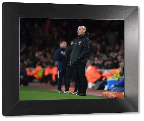 Freddie Ljungberg Leads Arsenal at Emirates Stadium: Arsenal vs Brighton & Hove Albion (2019-20)