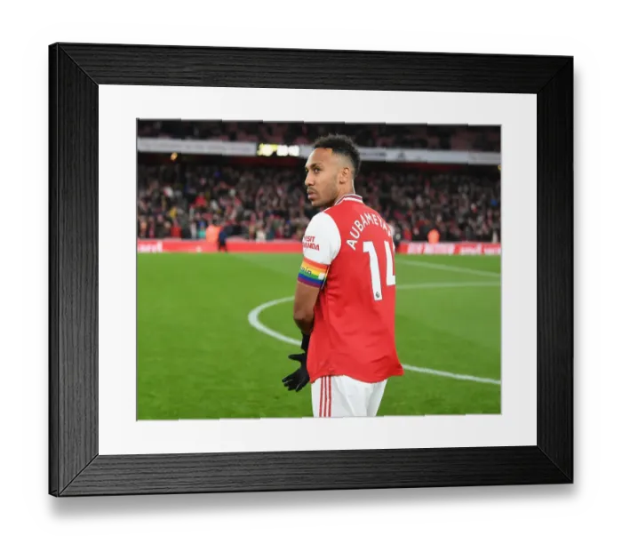 Framed Print : Arsenal's Aubameyang Gears Up for Arsenal vs. Brighton Clash Framed Print : Arsenal's Aubameyang Gears Up for Arsenal vs. Brighton Clash